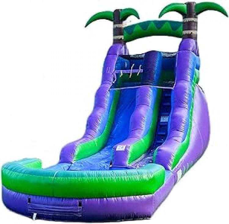 16' Purple Palm Tree Water Slide/Dry